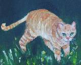 Un chat, roux et blanc, tigré, guette sa proie, dans l'herbe verte.