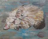 Gris-beige-blanc sur fond gris-bleu pour un chaton roulé ventre et pattes en l'air. Huile sur carton ondulé.